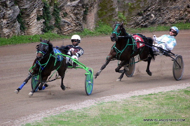 Harness Pony Racing Jan 22nd 2023