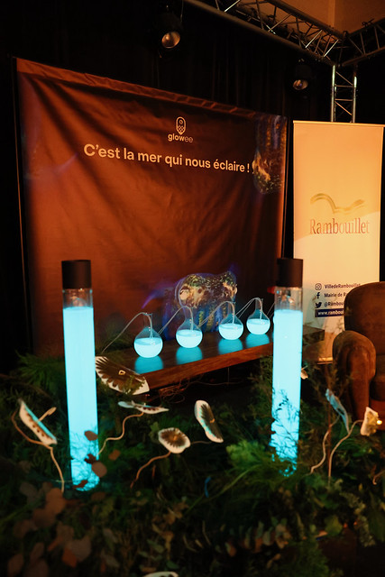 Glowee : la bioluminescence à Rambouillet