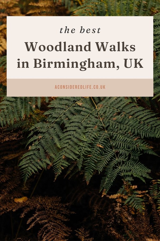 Woodland Walks Near Birmingham | Dog-Friendly Things To Do