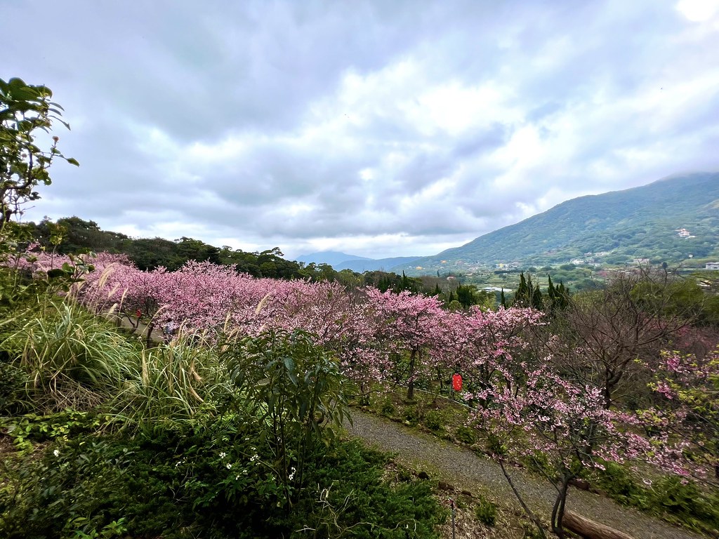 紗帽山大埔農場