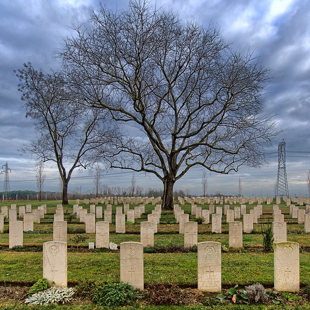 Ravenna War Cemetery - L'albero della vita