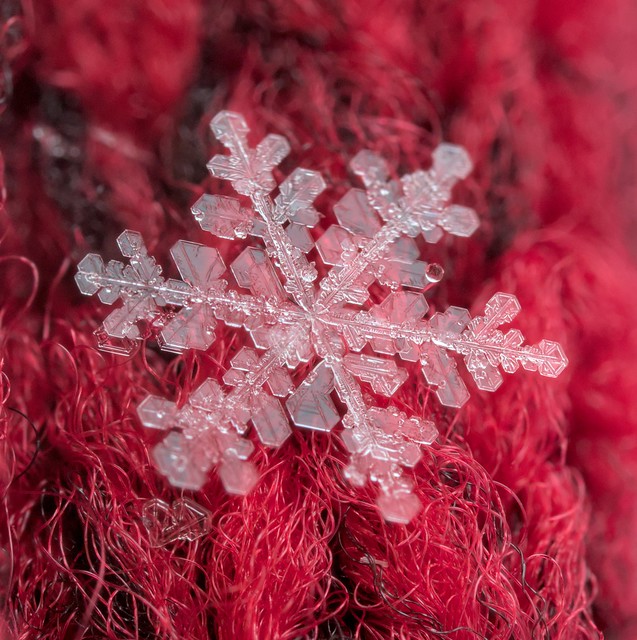 Snowflake on Red Fleece