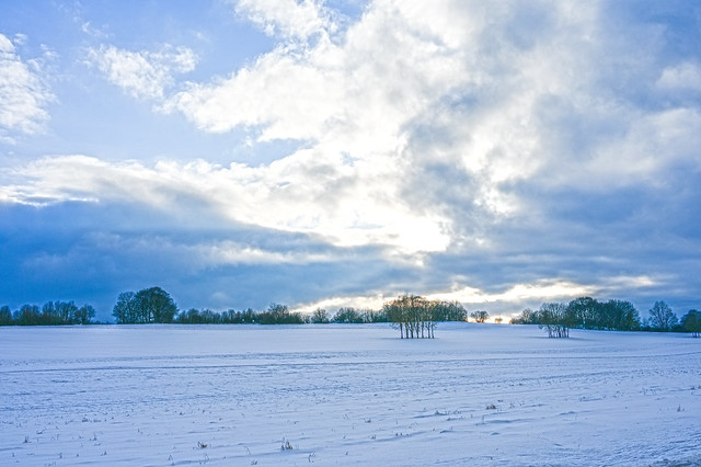 snowy landscape