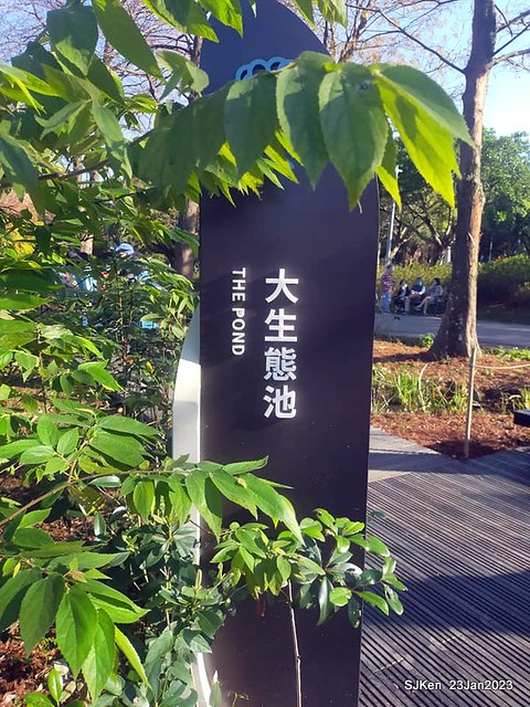 2023兔年正月初一「大安森林公園」走春(DaAn forest park ), Taipei, Taiwan, SJKen, Jan 23, 2023.