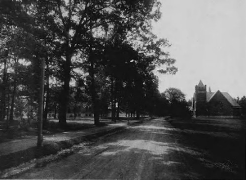 1923 Yearbook-Avenue of the Maples_Maple Drive
