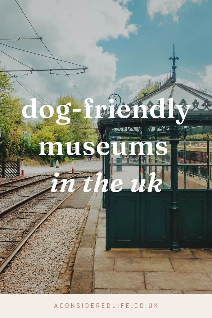 Dog-Friendly Museums | Dog-Friendly Things To Do