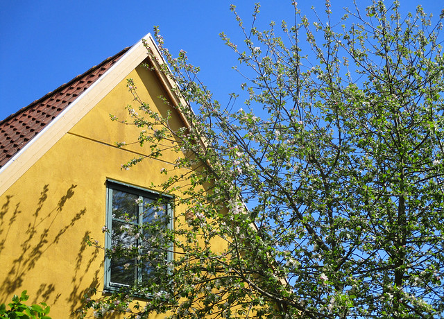 Spring with yellow house