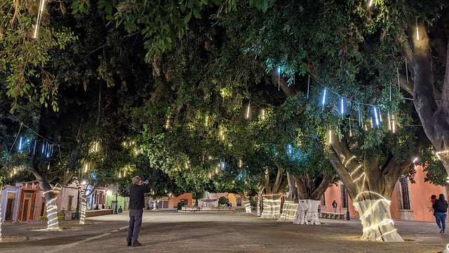 Last Night of Holiday Lights - Rinconada De La Merced - Lagos de Moreno, Jalisco, Mexico
