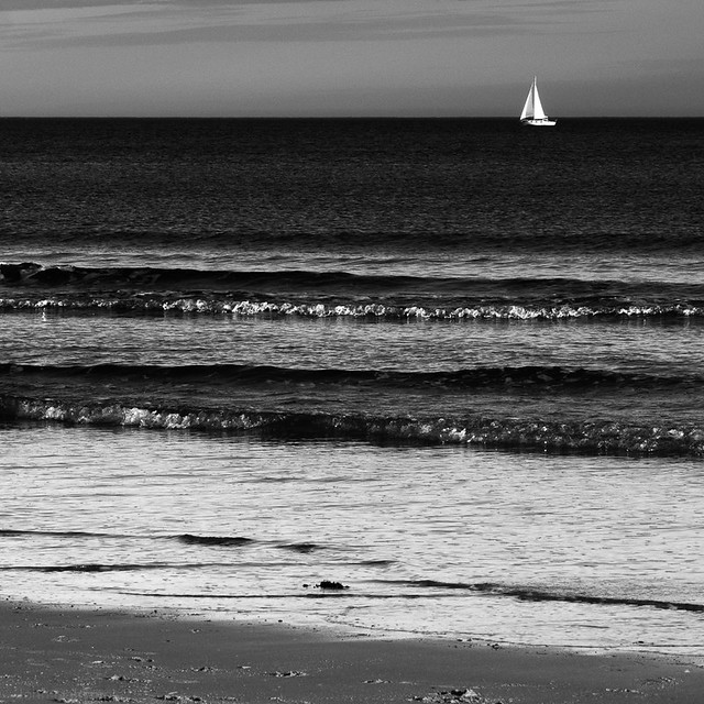 Sailing off Alnmouth