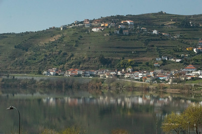 Houses Reflected In The River Douro
