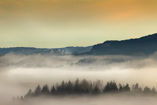 Reichenberg castle above the fog