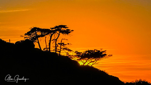 sandiego california unitedstates cabrillonp sunset sky light sun black sunrise shadow clouds tree blue silhouette beach nature trees landscape orange red yellow nationalpark