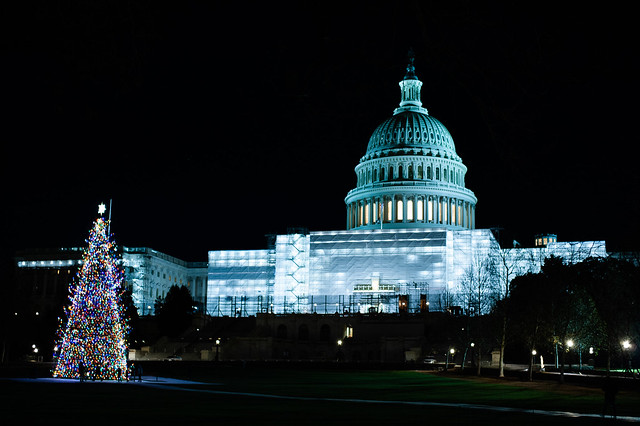 Capitol building & X'mas tree