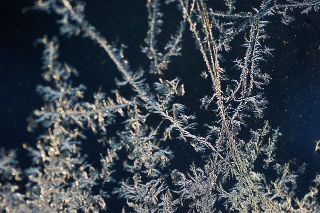 Frost Patterns - 2