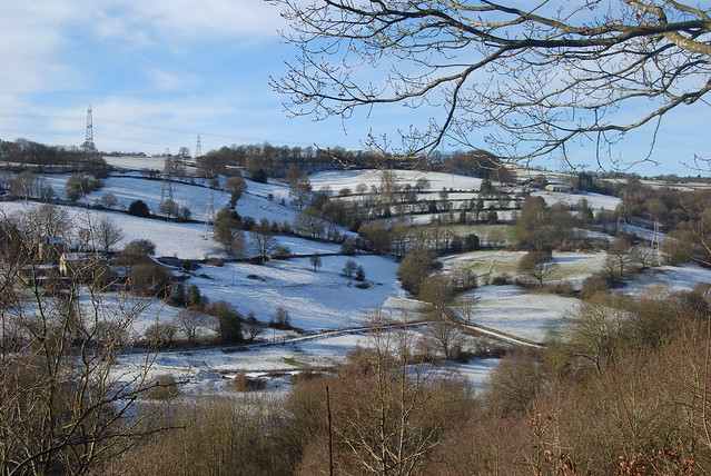A wintery hillside