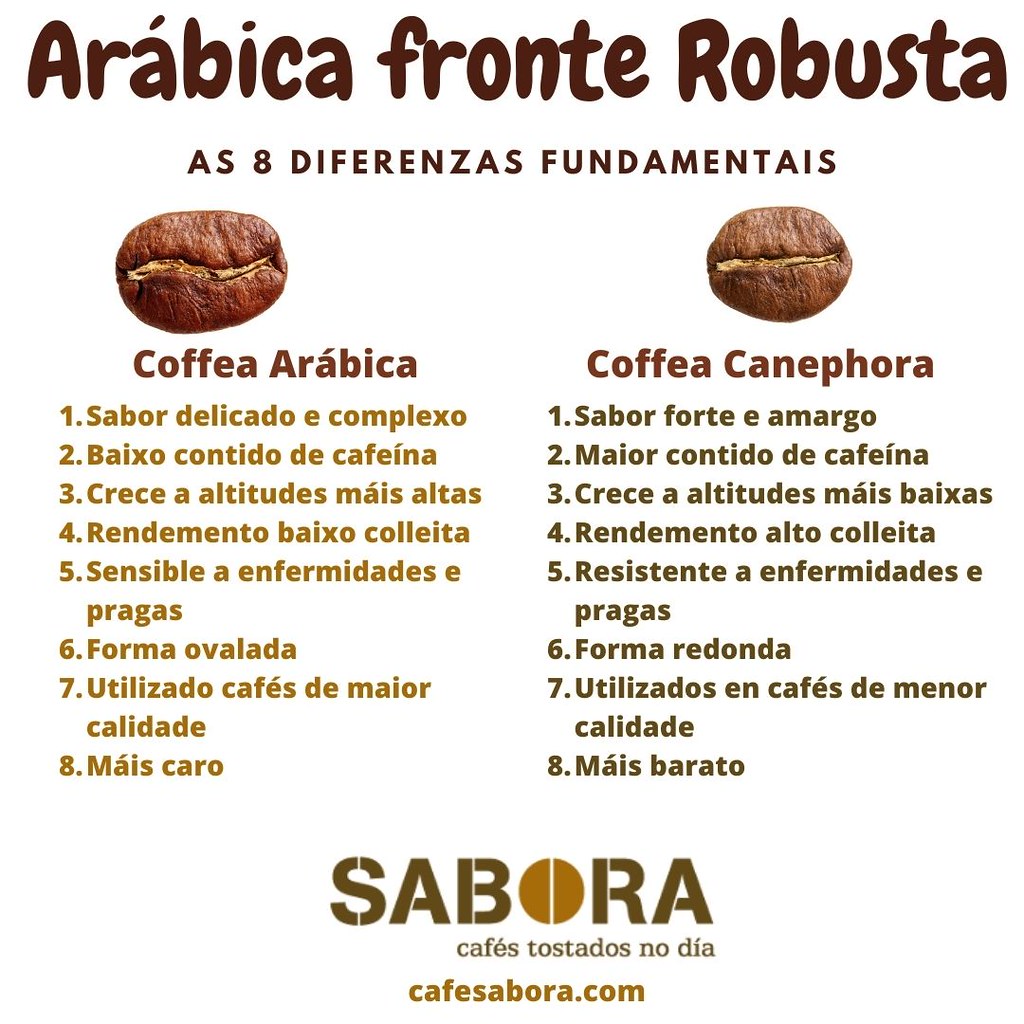 8 difereza entre café arábica e café robusta
