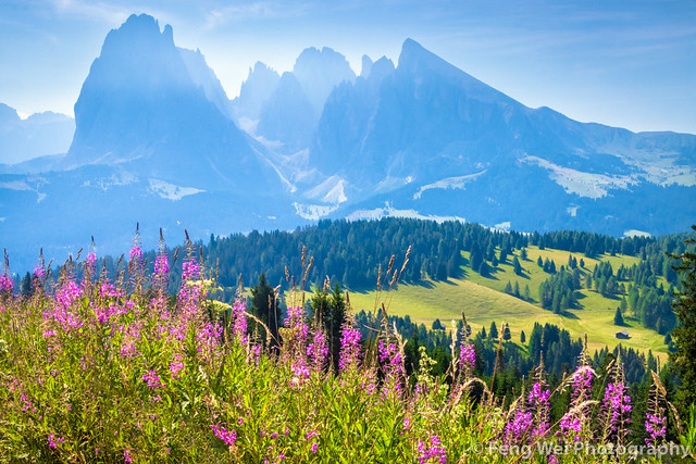 Summer Scenery @ Seiser Alm, Dolomites, South Tyrol, Italy
