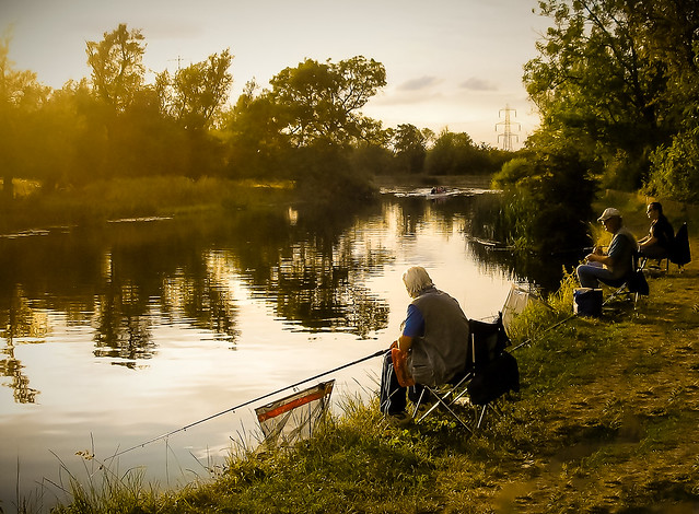 evening anglers