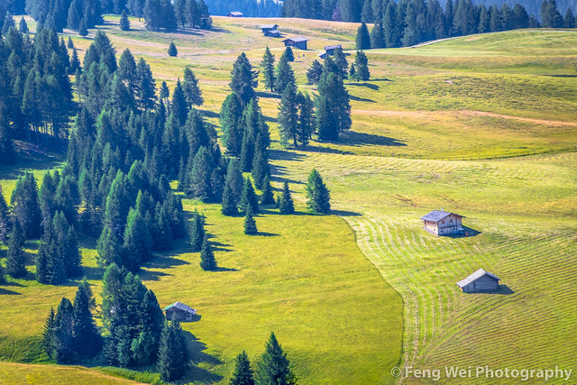 Summer Scenery @ Seiser Alm, Dolomites, South Tyrol, Italy