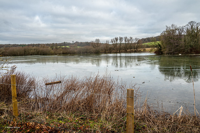 A view of Shardeloes Lake from the South Bucks Way