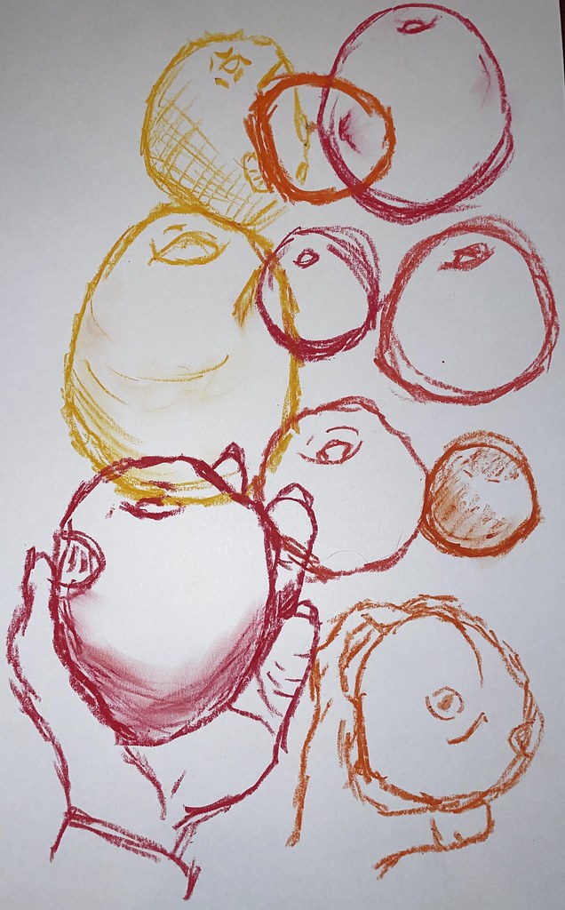 Single Object Study - Grapefruit | Kylie Simpson | Flickr