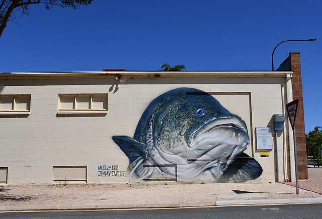 Waikerie - Mural of Murray Cod by painter Jimmy DVate in the Murray Riverlands South Australia