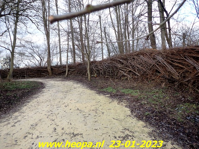 2023-01-23      Heopa wandeld  in Almere   (20)