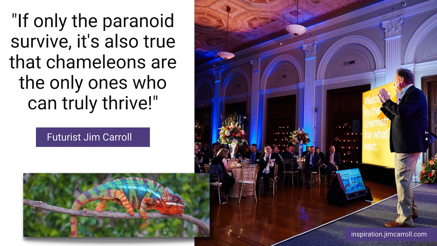"If only the paranoid survive, it's also true that it's the chameleons who will thrive!" - Futurist Jim Carroll