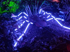 UK - London - Canary Wharf - Winter Lights - Crossrail Place Roof garden - Blue spider