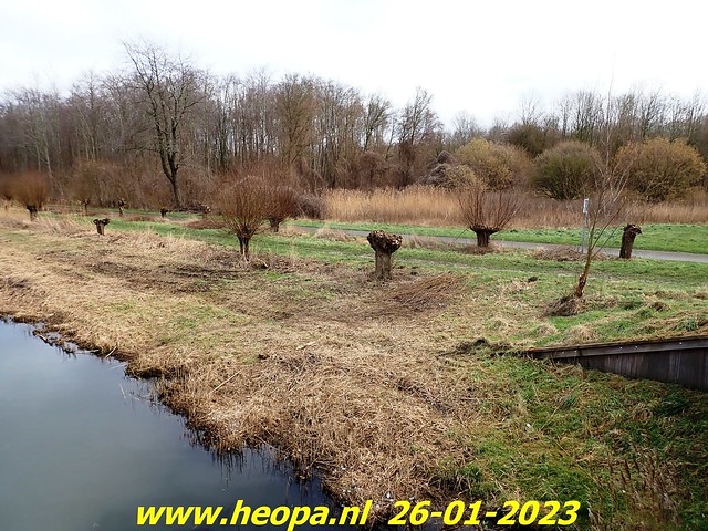 2023-01-26         Heopa  wandeld  in Almere  (4)