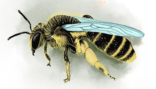 polyester bee