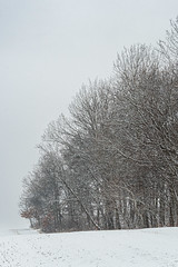 McCarthy snow and trails-50.jpg