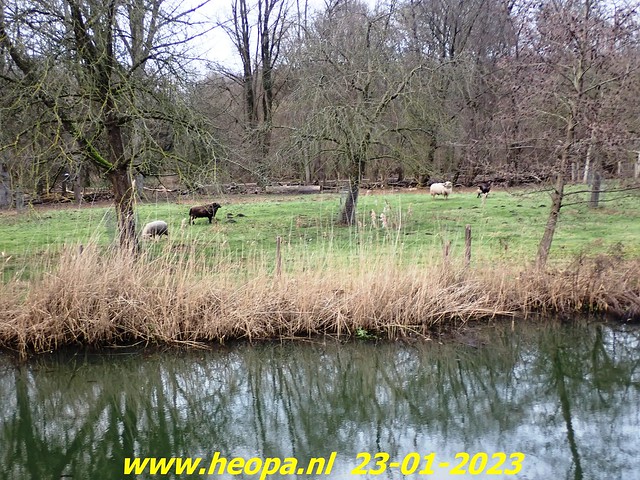 2023-01-23      Heopa wandeld  in Almere   (66)