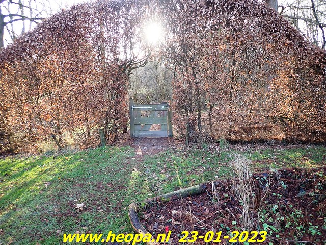 2023-01-23      Heopa wandeld  in Almere   (57)