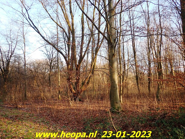 2023-01-23      Heopa wandeld  in Almere   (64)