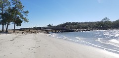 Driftwood Beach - Jekyll Island, GA