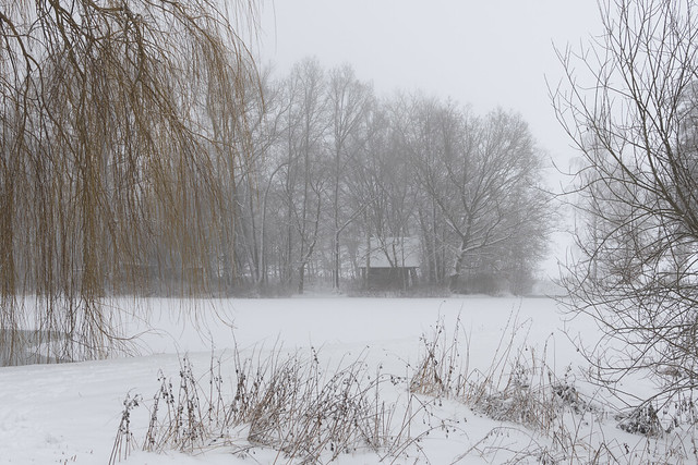 Ein Wintertag im Nebel (2)