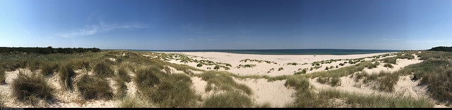 20220627_i1 Panorama of grass & sand on the beach Bredsand | Gotska Sandön National Park, Sweden