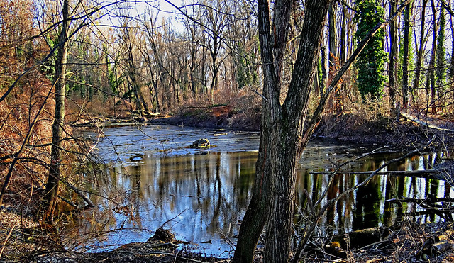 The creek in wintertime.