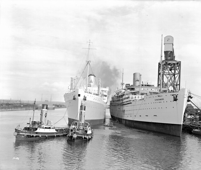RMS Orion and RMS Strathmore, Yorkgarth and Dongarth