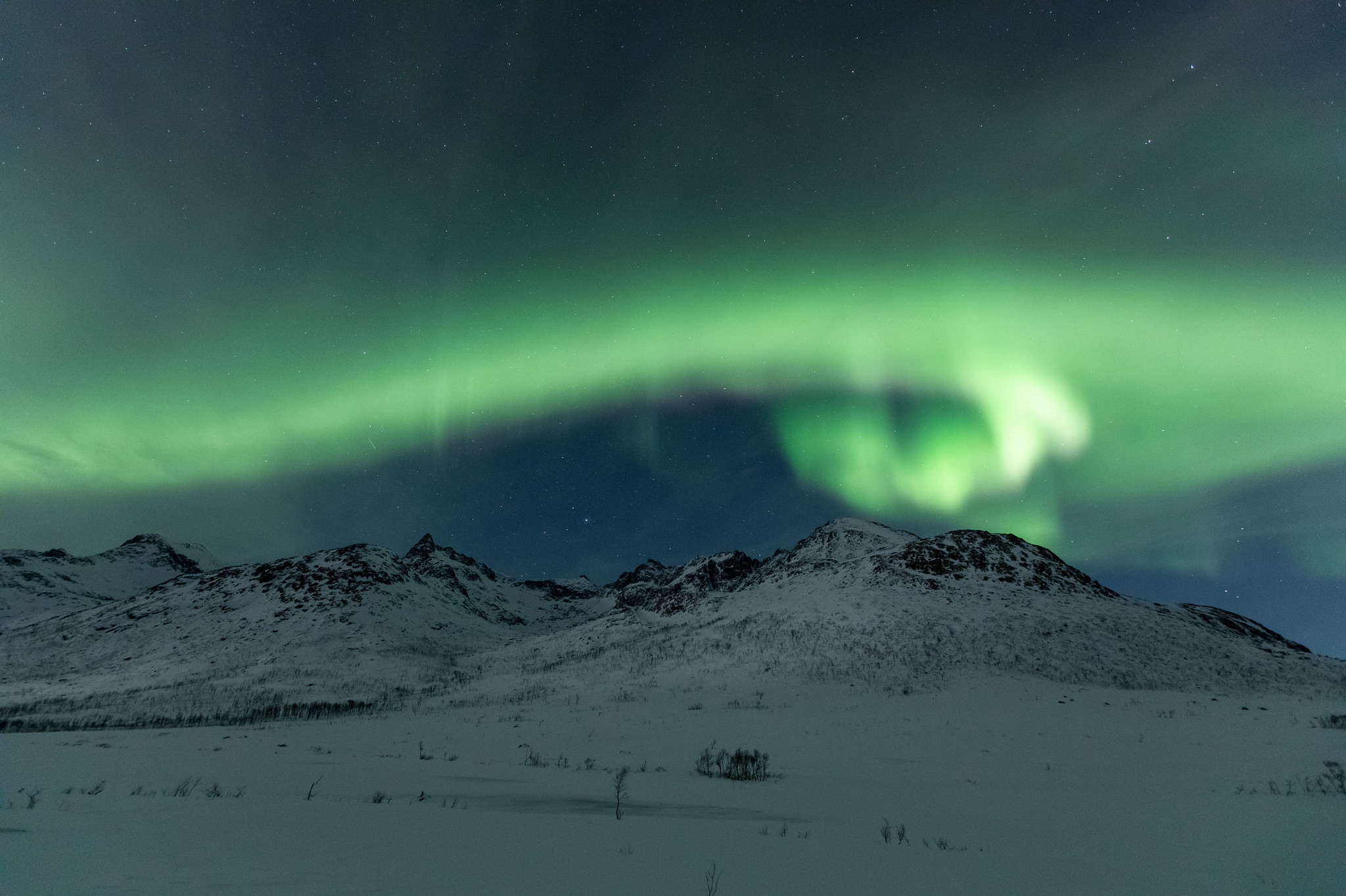 Northern Lights, Kattfjordeidet, Tromsø