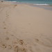 			Miguel Discart (Photos Vrac) posted a photo:	Travel to Boa Vista (Cap Vert) - January 2023 - Day 4 Various pics of the day 4 in Boa Vista with no particular subjectDiverses photos prisent a Boa Vista (jour : 4) sans sujet reel.