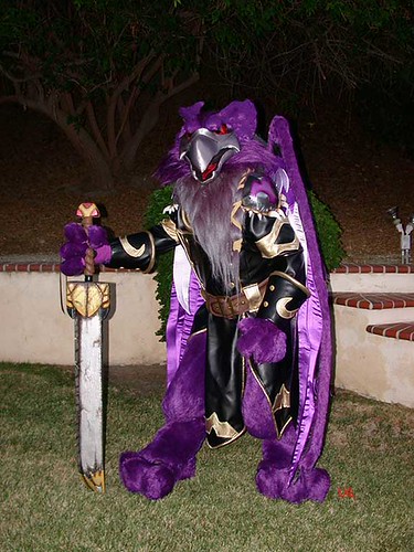 Neopets! Costumes! | Flickr