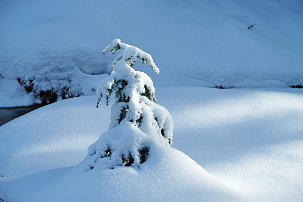 Winter in British Columbia, Canada