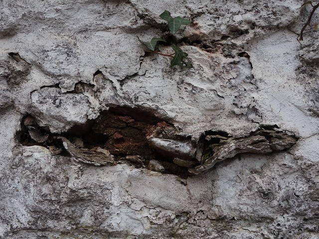 Textures in a wall 1