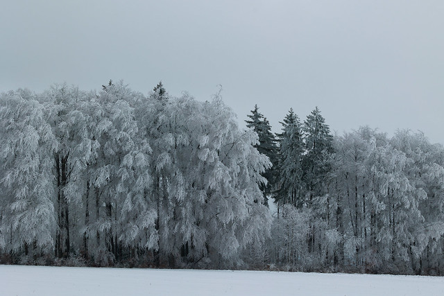 Winter in Winterlingen