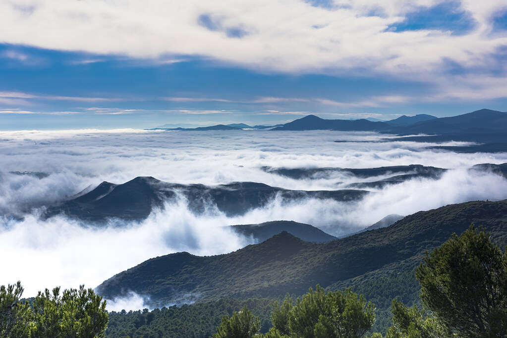 _DSC1012 - Campo de Borja (Zaragoza)