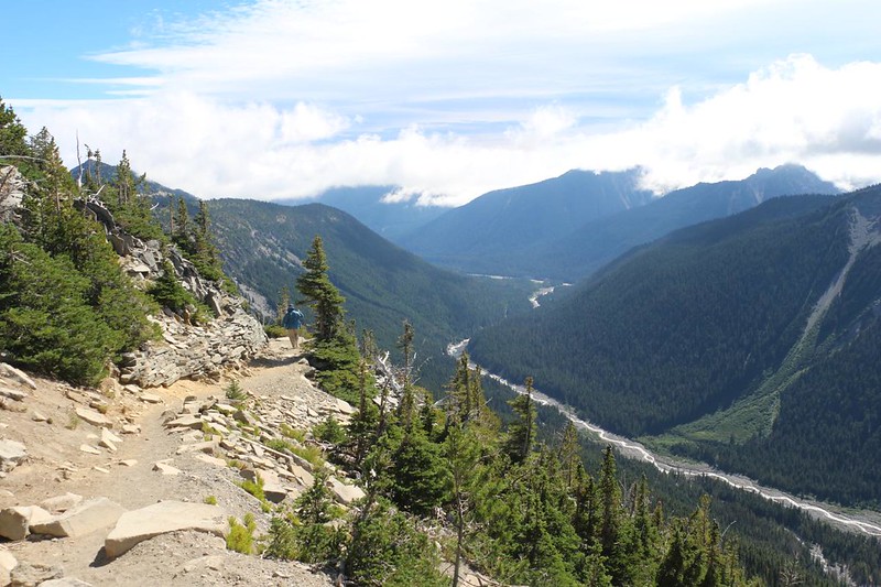 View southeast down the White River Valley from the Sunrise Rim Trail in Mount Rainier National Park