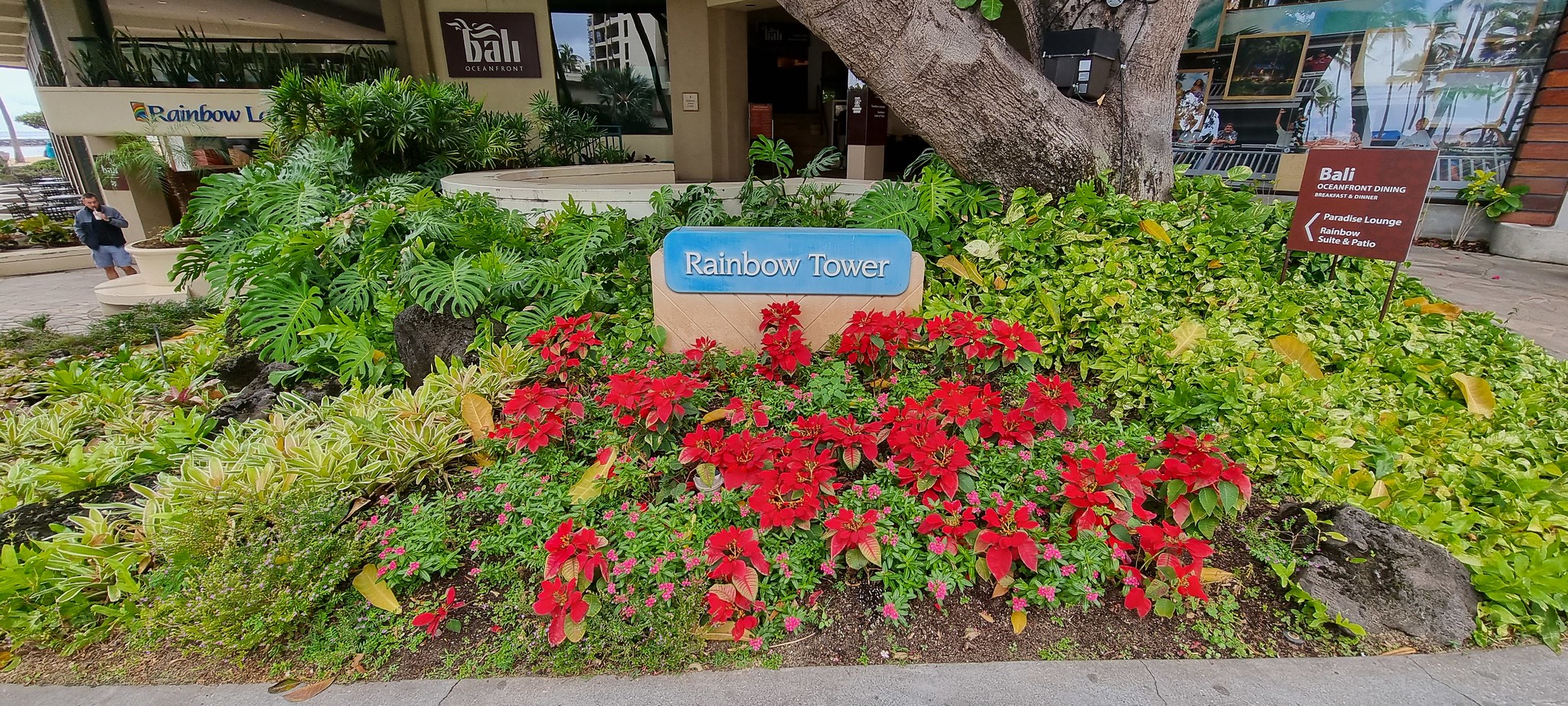 A splash of colour at the Hilton Hawaiian Village