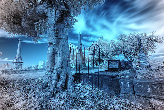 Balmoral Cemetery Landscape IR Sony HDR